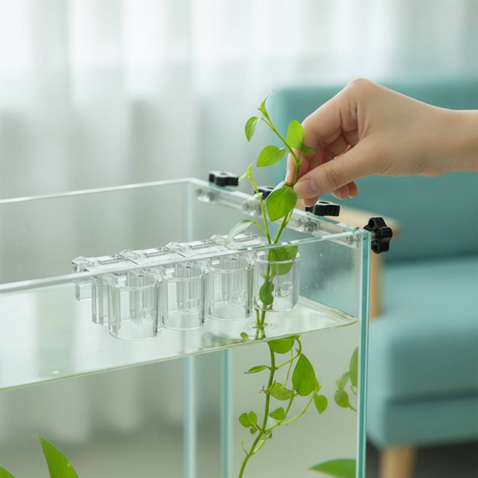 6 Pieces Aquarium Planter Clea - Aquarium Planted ulasan dan harga