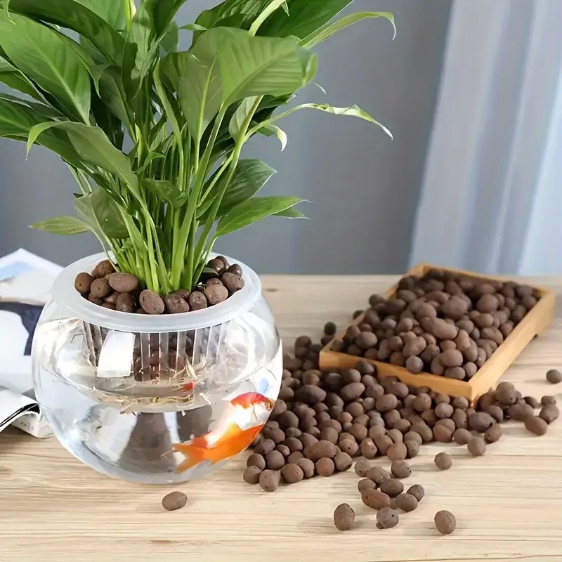 Lightweight & Breathable Terra - Aquarium Planted ulasan dan harga