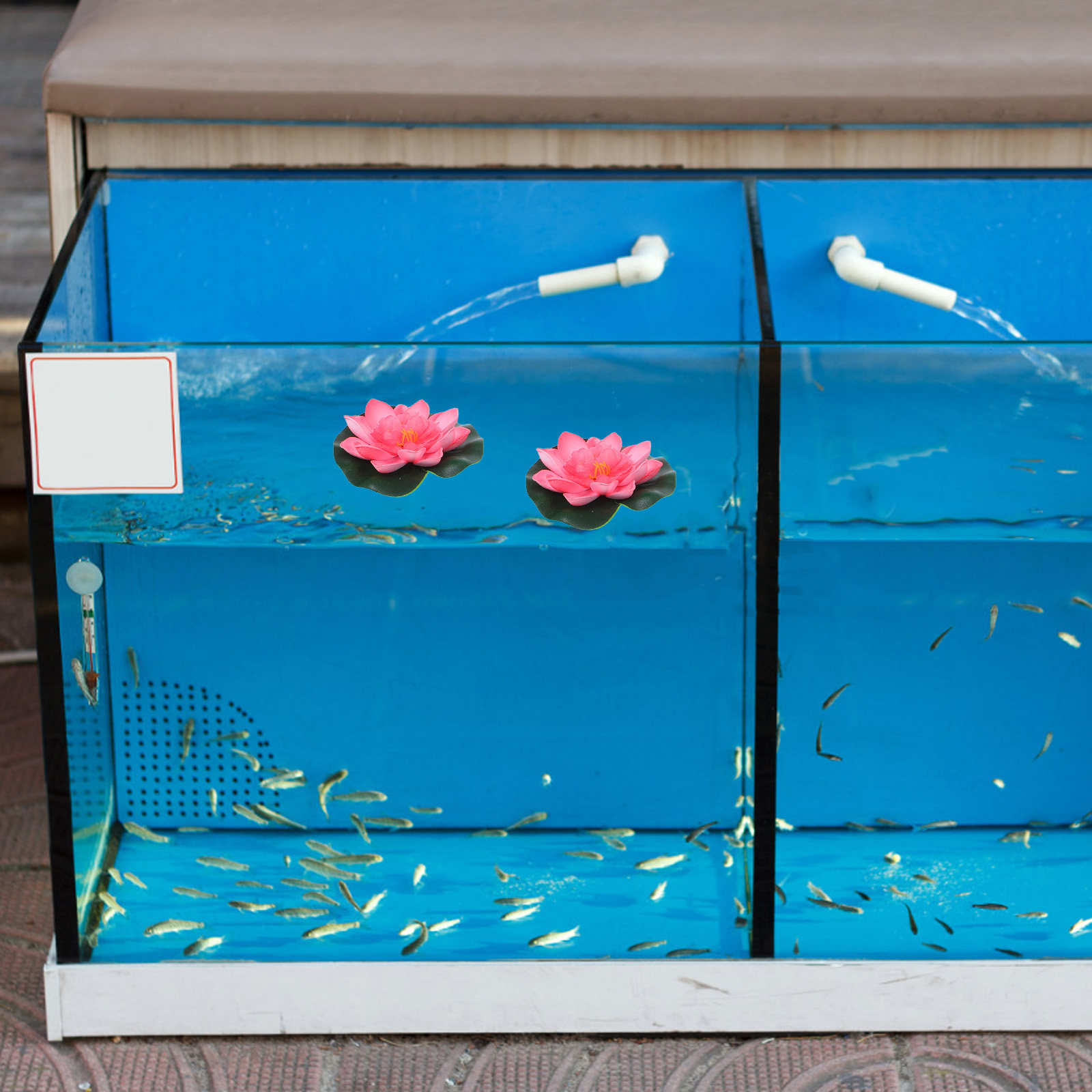 12Pcs Artificial Floating Wate - Aquarium Planted ulasan dan harga