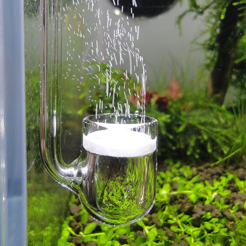 D0AD Glass CO2 Diffuser for Aq - Aquarium Plant Order ulasan dan harga