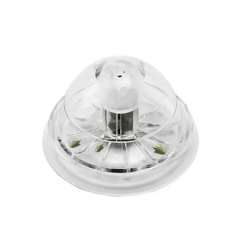 2026 New 6/8CM Clear Plastic S - Aquarium Plant Order ulasan dan harga