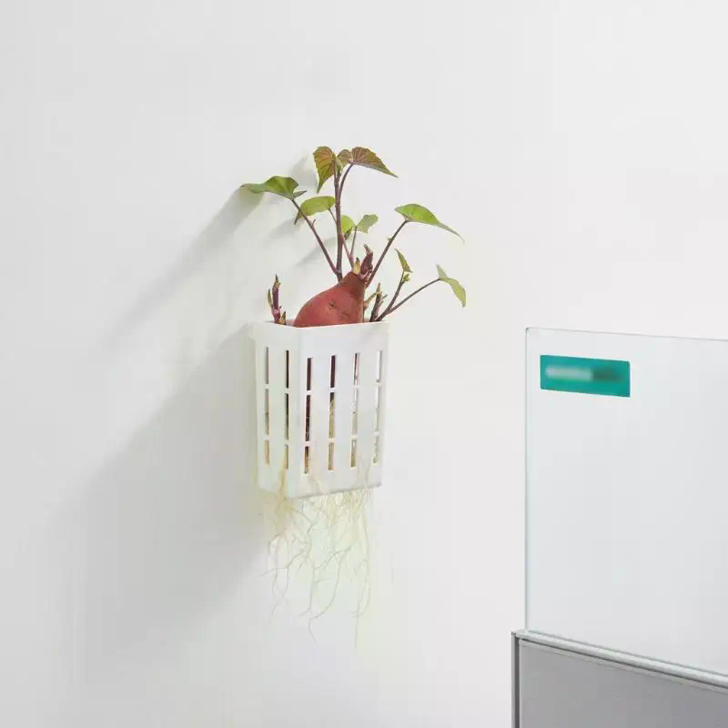1Pcs Hydroponic Support Basket - Aquarium Planted ulasan dan harga