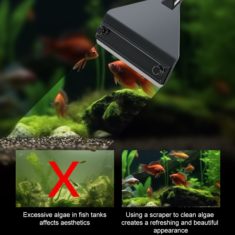 Aquarium Algae Remover Aluminu - Planted Aquarium Algae ulasan dan harga