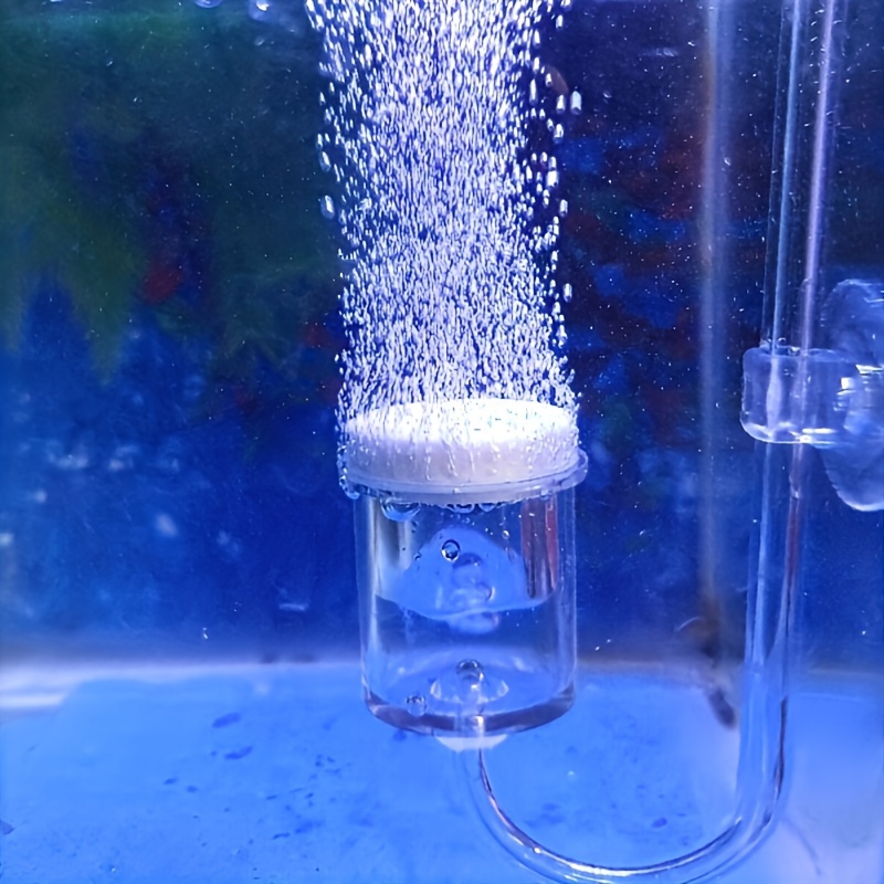 Aquarium Glass CO2 Atomizer Di - Aquarium Plant Order ulasan dan harga