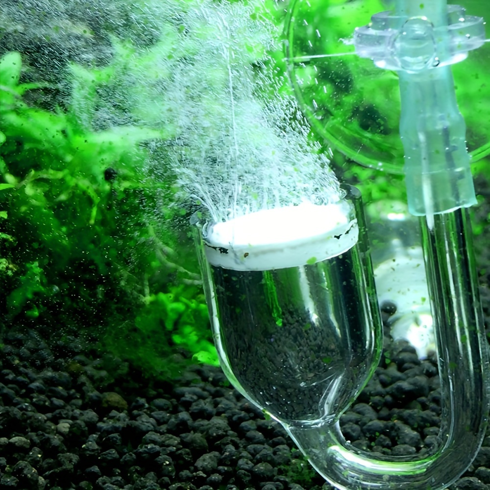 Aquarium Glass CO2 Atomizer Di - Aquarium Plant Order ulasan dan harga