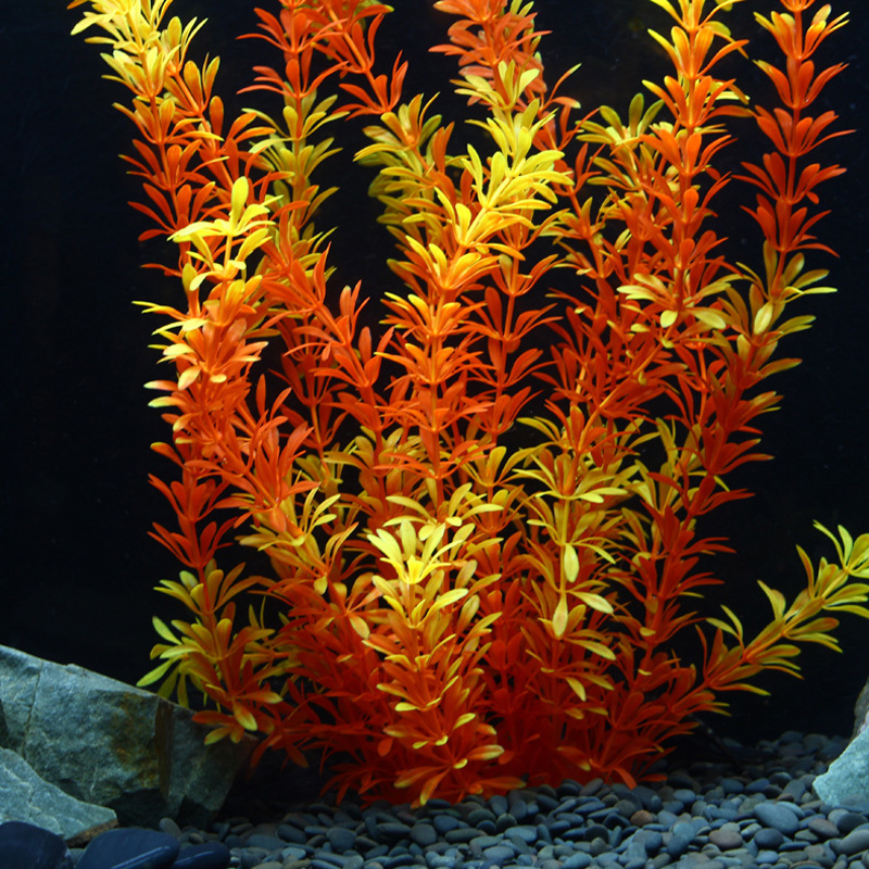 100cm Tropical Plants Large Ar - Aquarium Plant Order ulasan dan harga