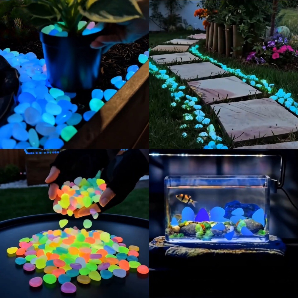 Colorful Glow In The Dark Lumi - Aquarium Planted ulasan dan harga