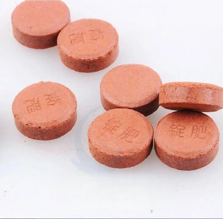 36pcs Aquarium Fish Water Plan - Aquarium Plant Root Fertilizer ulasan dan harga