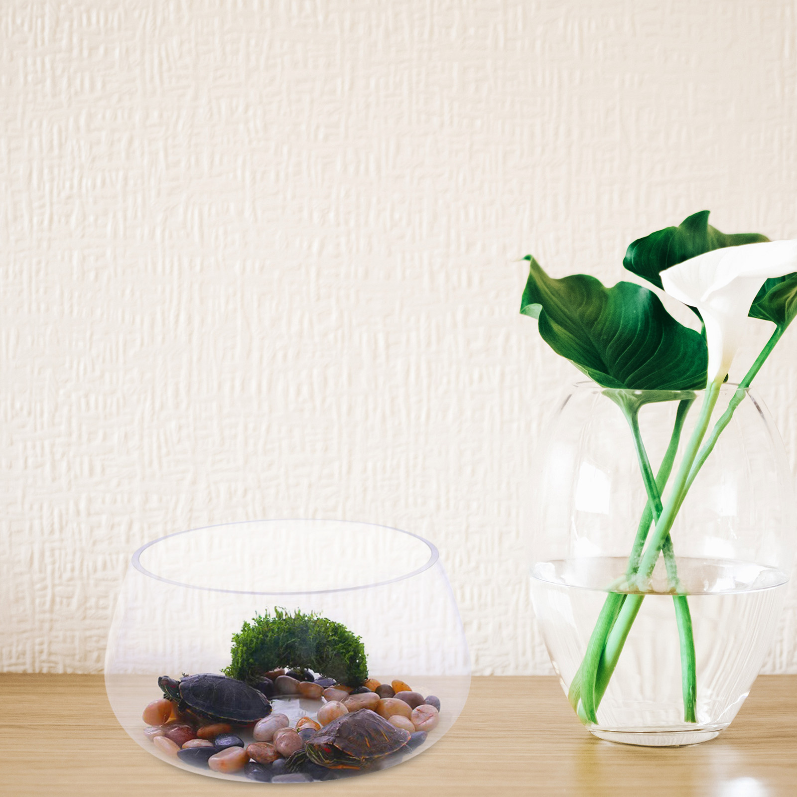 Round Clear Glass Mini Aquariu - Aquarium Planted Shop ulasan dan harga