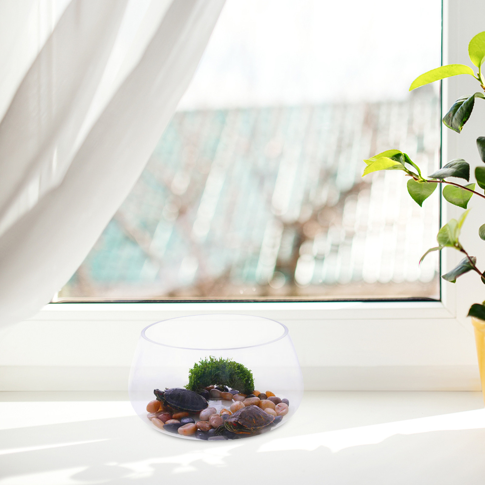Round Clear Glass Mini Aquariu - Aquarium Planted Shop ulasan dan harga