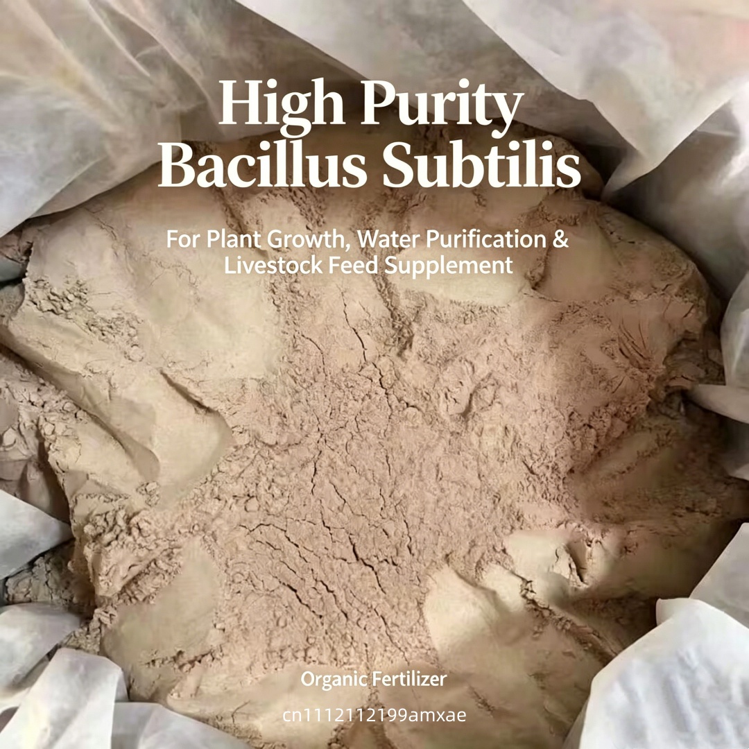 High Activity Bacillus Subtili - Aquarium Plant Root Fertilizer ulasan dan harga