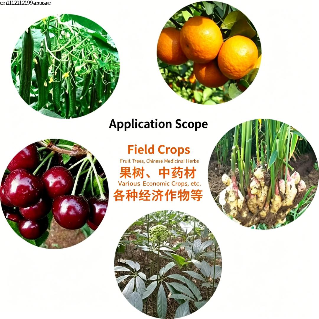 High Activity Bacillus Subtili - Aquarium Plant Root Fertilizer ulasan dan harga