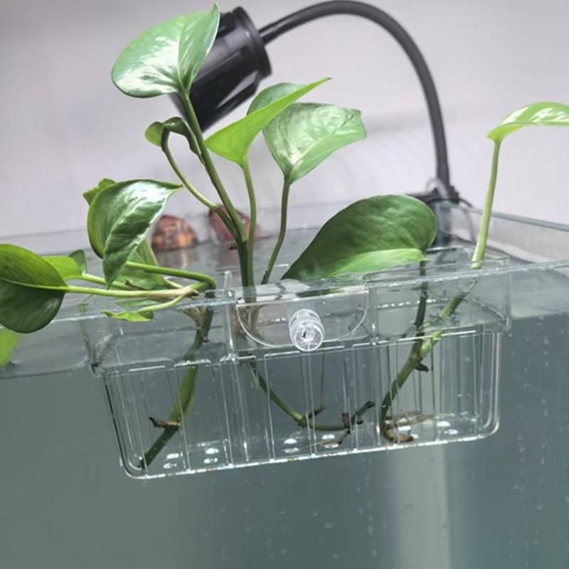 Hydroponic Plant Basket Food G - Aquarium Planted ulasan dan harga