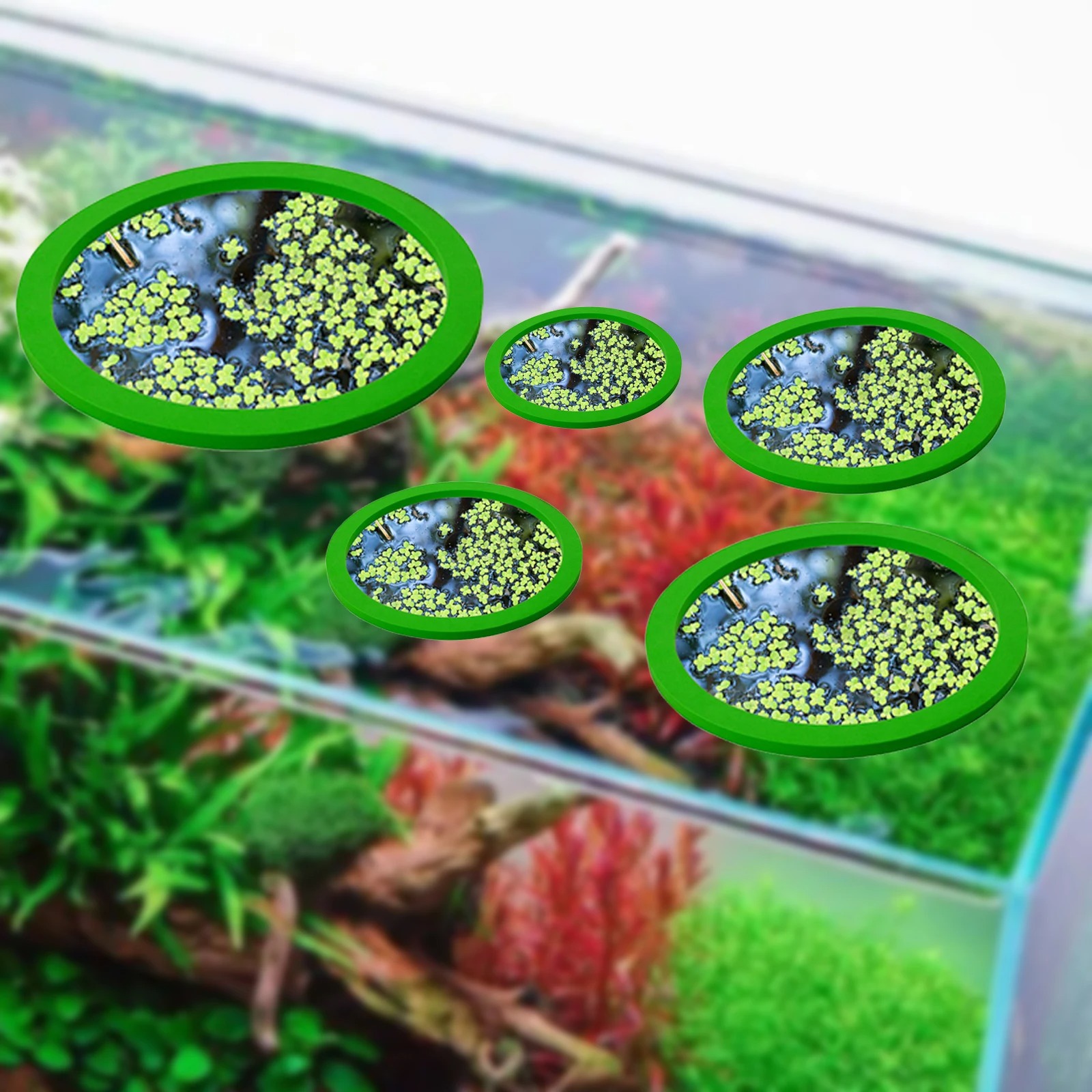 5Pcs EVA Fish Feeding Ring Aqu - Aquarium Planted ulasan dan harga