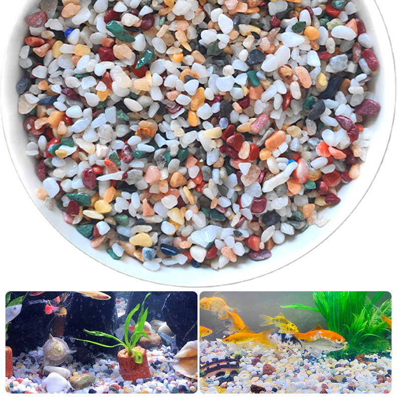Natural Gravel Stone 200~1000g - Planted Aquarium With Sand ulasan dan harga