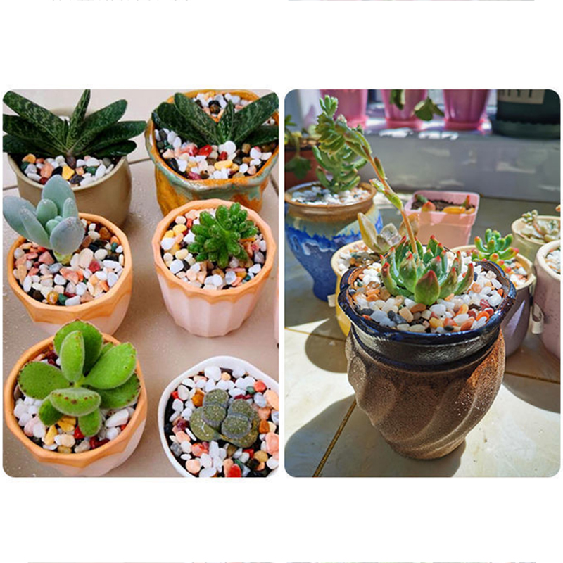 Fish Tank Bottom Sand DIY Acce - Planted Aquarium With Sand ulasan dan harga