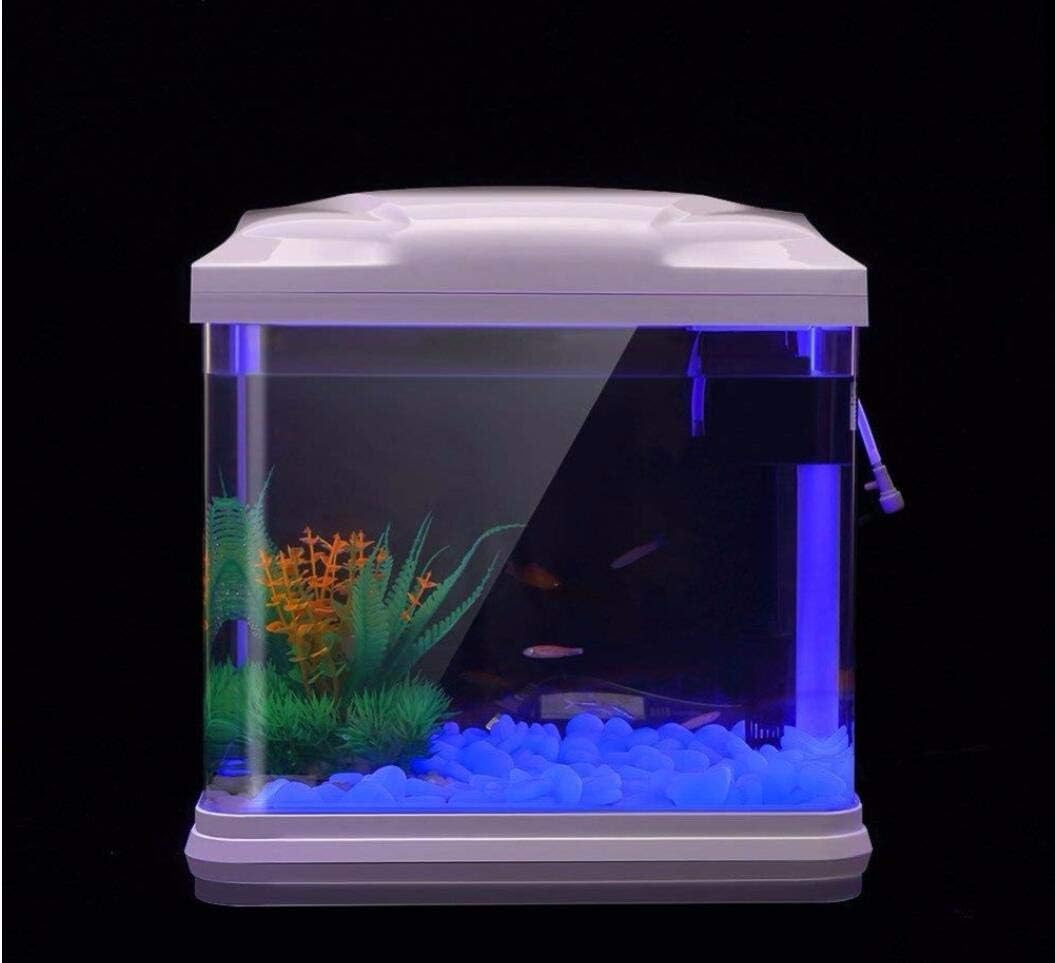 Fish Tank Rocks Glow Blue Pebb - Aquarium Plant Order ulasan dan harga