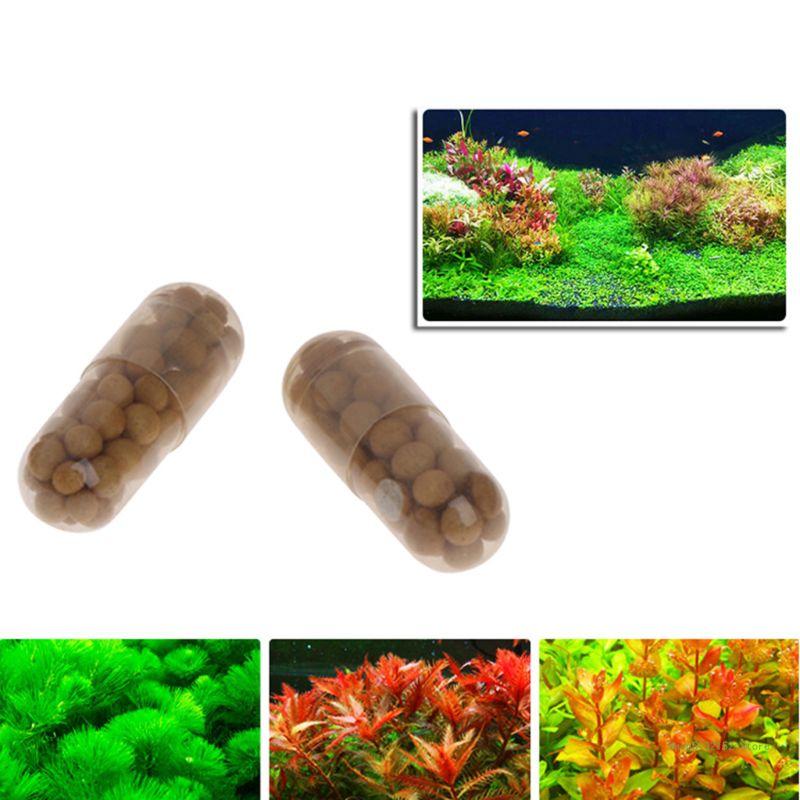 QX2E Aquarium Live Plant Ferti - Aquarium Plant Root Fertilizer ulasan dan harga