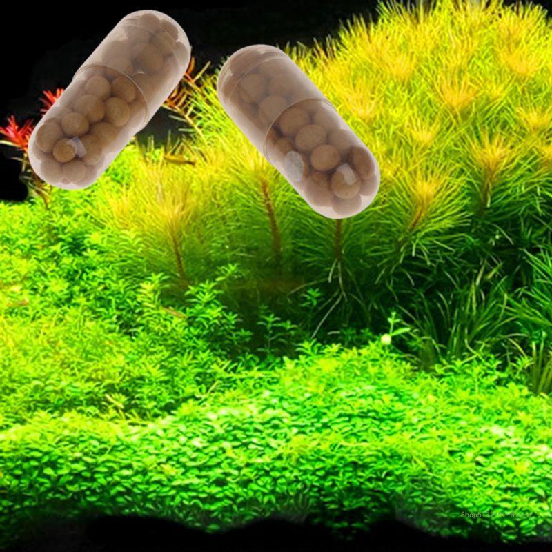 QX2E Aquarium Live Plant Ferti - Aquarium Plant Root Fertilizer ulasan dan harga