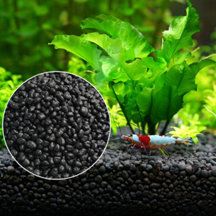 Aquarium Plant Seeds Soil Fish - Aquarium Plant Order ulasan dan harga