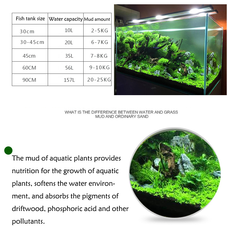 Aquarium Plant Seeds Soil Fish - Aquarium Plant Order ulasan dan harga