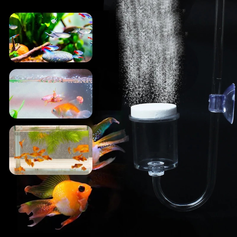 4pcs Set DIY CO2 Diffuser For  - Aquarium Plant Order ulasan dan harga